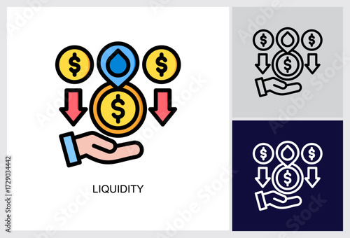 Liquidity icon Multi Style Vector Illustration 