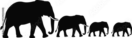 Elephant family silhouette vector with five walking figures in descending size for wildlife, nature, and animal group themes