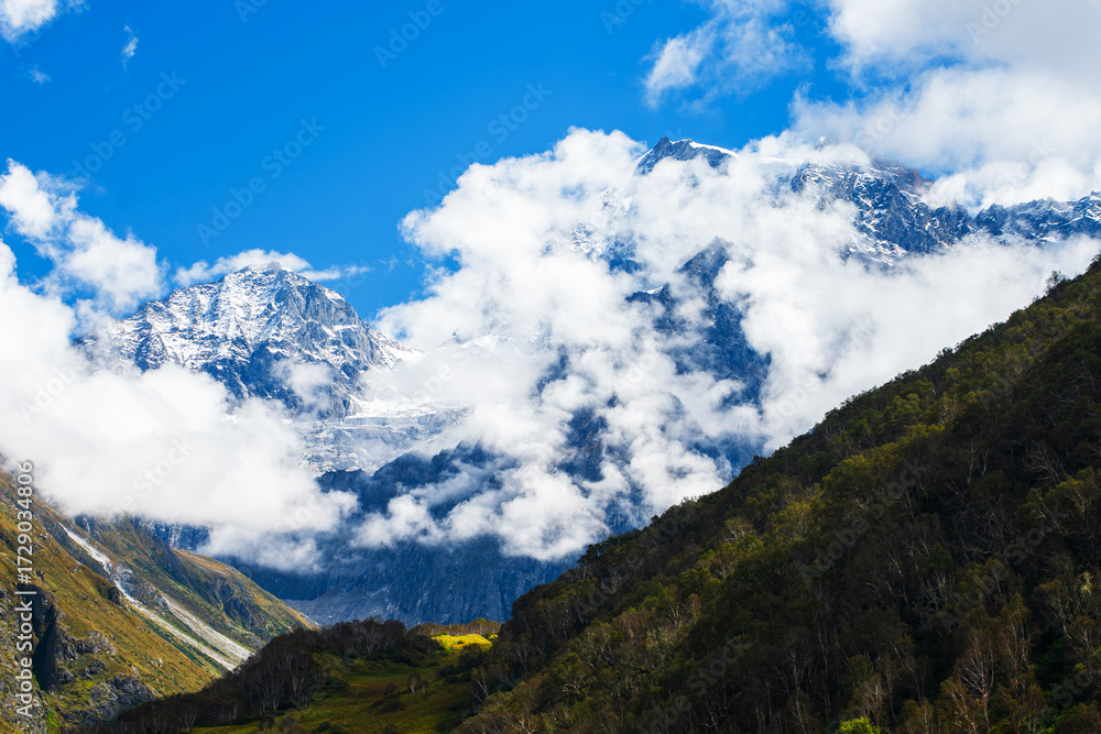Fototapeta premium Snow Clad Mountains in Valley of flowers in himalayas