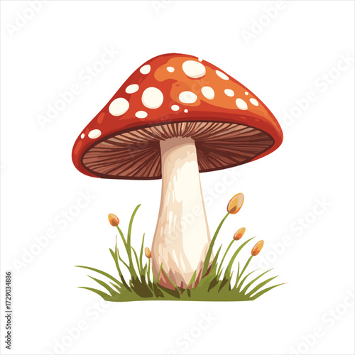 A vibrant, detailed illustration of a red toadstool mushroom growing from grass