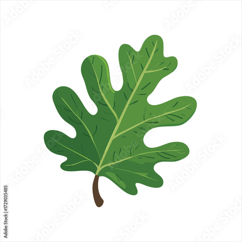 Vibrant green fig leaf illustration