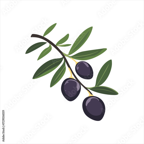 Olive branch with three olives