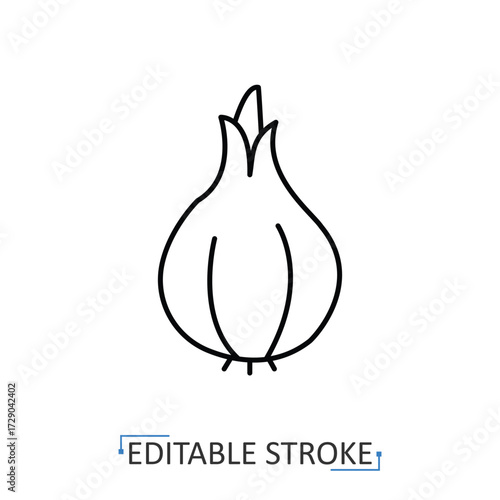 A garlic bulb icon in a minimalist line style with editable stroke. Aromatic cooking ingredient, healthy vegetable, organic farm food, natural spice, seasoning plant, vitamin flavor.