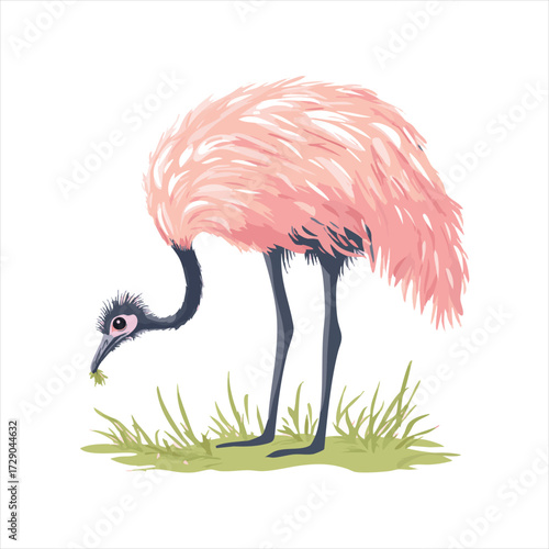 Pink emu foraging in grassy field.  A stylized illustration of a pink emu, with fluffy plumage,  bending down to eat grass