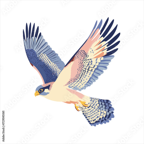 Flying hawk in vibrant colors