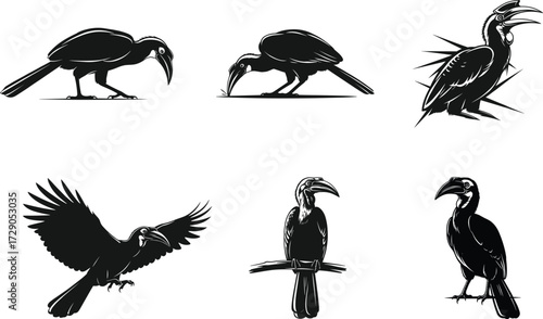 Hornbill bird silhouette vector illustration set featuring perched, flying, feeding, standing, and exotic wildlife poses with detailed beak design.
