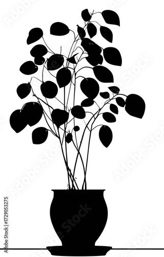 A botanical silhouette with round leaves, planted in a pot and set on a tray