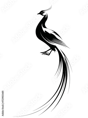 Black-and-white graphic illustration of a bird with an elaborate flowing tail and crest