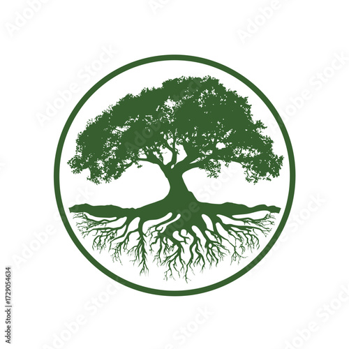 Circular emblem featuring a stylized oak tree with roots, branches, and lush foliage