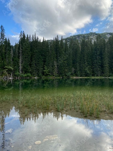 Mountain Green Lake Surrounded by Pines and Mountains