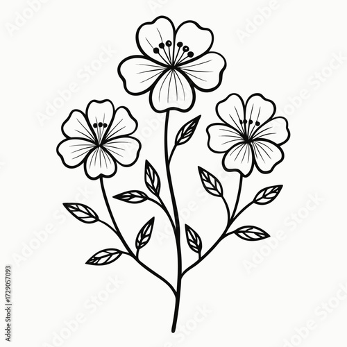 nemophila penny black flower line  art vector  illustration isolated on white