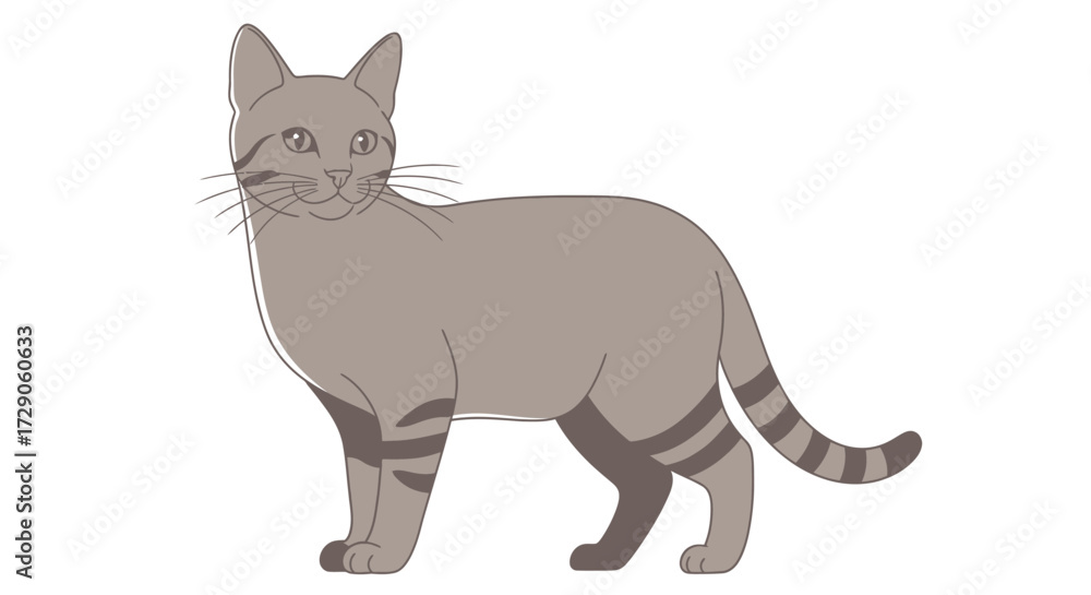 Fototapeta premium Cute vector illustration of a black and white hairless sphynx kitten cartoon isolated on white background