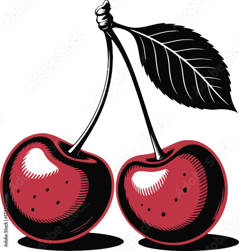 Two red cherries with black leaf and stem on white background cherry fruit