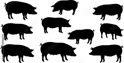 Diverse collection of black pig silhouettes on a white background, featuring various farm animal poses for agricultural and livestock design projects.