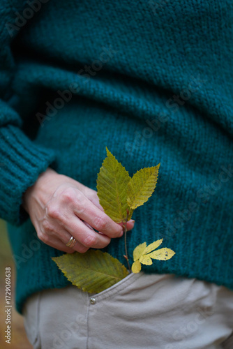 autum background and vintage clock Time and beautiful background Old alarm Retro and antique clock