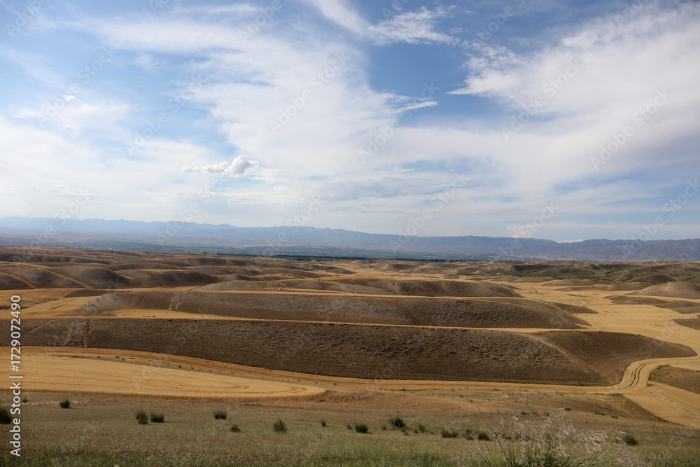 Fototapeta premium landscape in the mountains