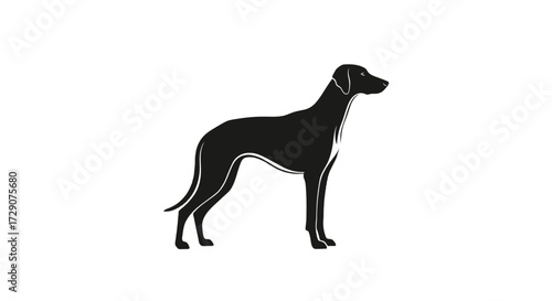 Silhouette of a dog standing, black on white background.