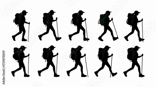 Vector silhouette of women hikers with backpacks and poles scalable illustration silhouette white background