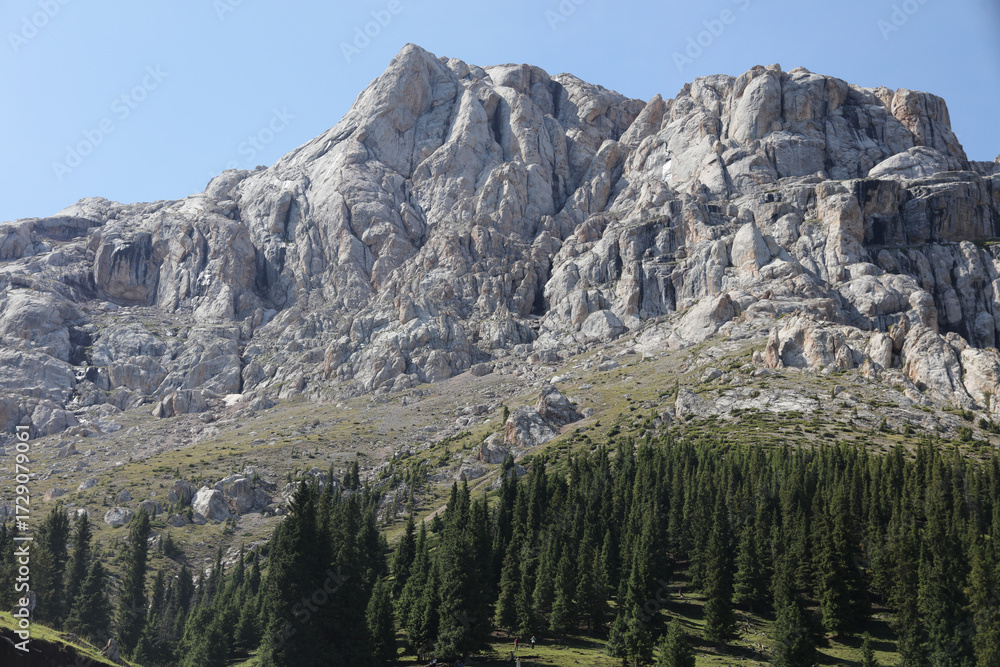 Fototapeta premium yosemite national park