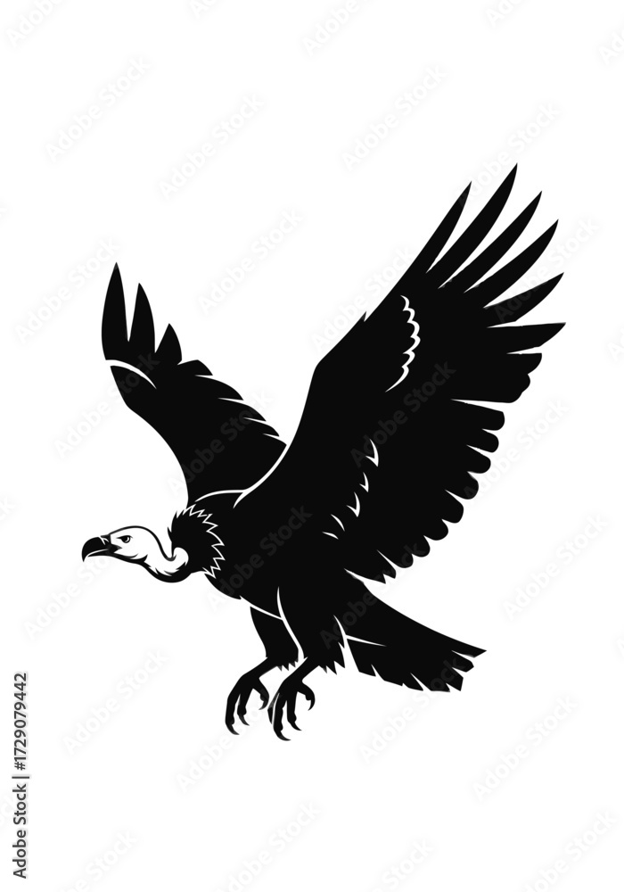 Obraz premium Black and white illustration of a vulture in flight.