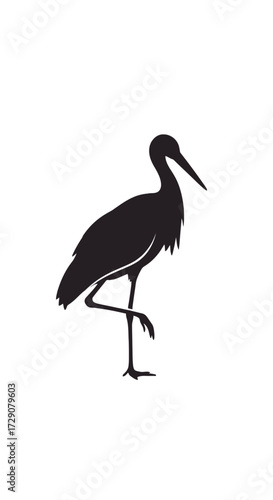 Silhouette of a stork standing on one leg, showcasing elegant avian form against white background.