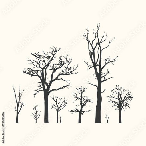 Vector art of a collection of bare, leafless trees silhouetted against a plain background, evoking a sense of winter or dormancy