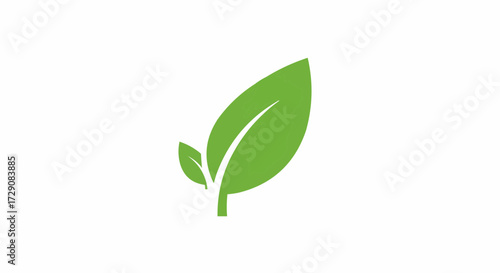 A vibrant green leaf with prominent veins and a smaller leaf alongside on a white background image