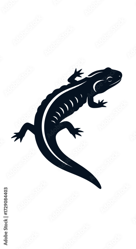 Fototapeta premium A stylized black silhouette of a newt with a white stripe down its back, isolated on a white background.