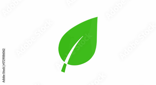Illustration of a single bright green leaf with a prominent white vein on a white background image