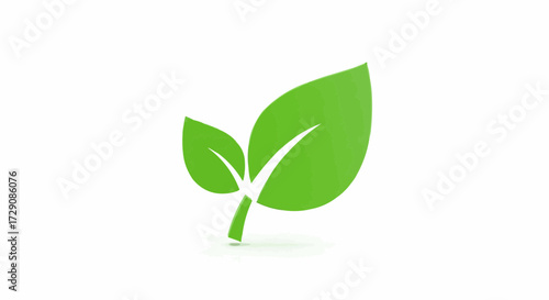 green sprout on white background