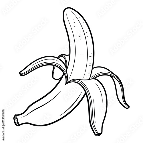 Peeled banana outline drawing healthy tropical fruit food ingredient art silhouette