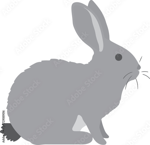 Cute fluffy bunny vector illustration isolated on white background