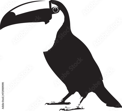 Black and white vector illustration of a penguin bird silhouette with feathers and beak in a nature wildlife style