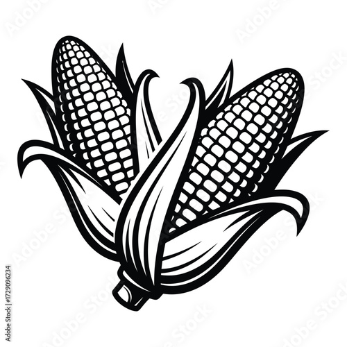 Two ripe corn ears with leaves graphic food ingredient farm harvest natural organic agriculture silhouette