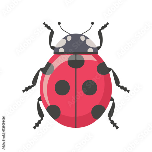 Lady Bug Insect  Icon Isola...