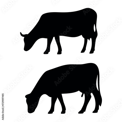 Two black silhouettes of cows grazing on a white background