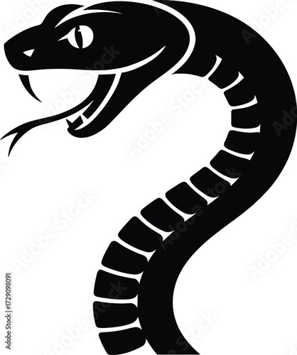 Black snake striking with forked tongue serpent reptile