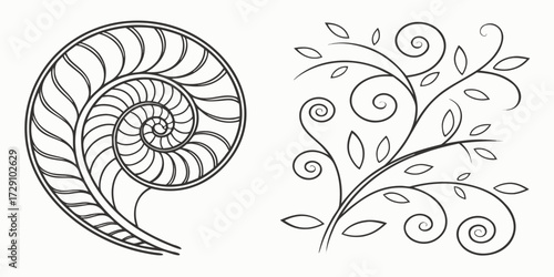 Elegant nautilus shell spiral and decorative floral flourish create a sophisticated organic design perfect for branding and accents