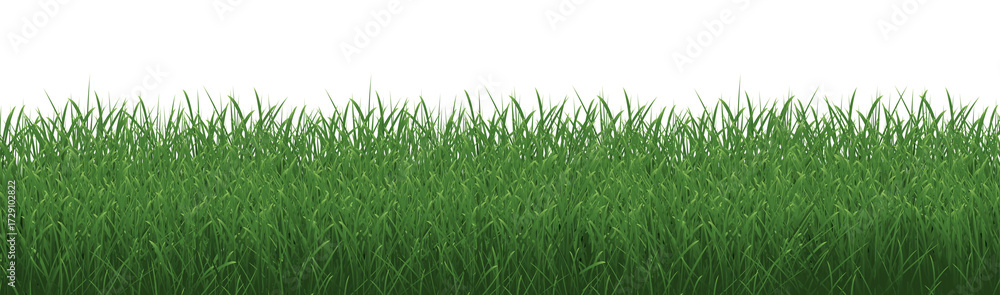 Fototapeta premium Grass Border With Isolated White Background