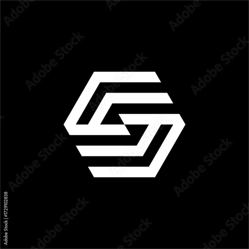 This elegant SS Hexagon Logo has a complex yet clean geometric style. It's perfect for architectural firms, engineering companies, or upscale fashion brands.