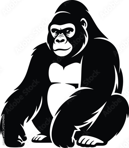 Black gorilla sitting on white background primate