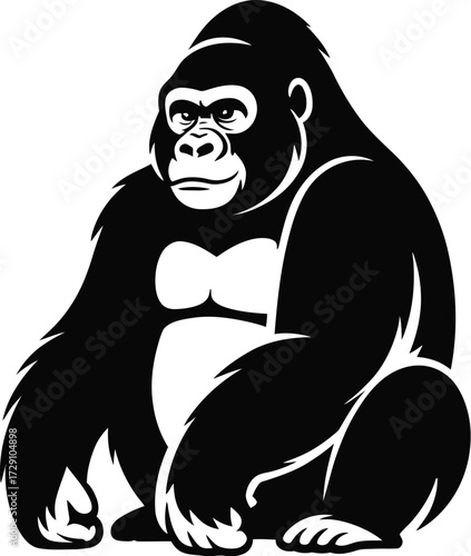 Black gorilla sitting with white chest primate mammal