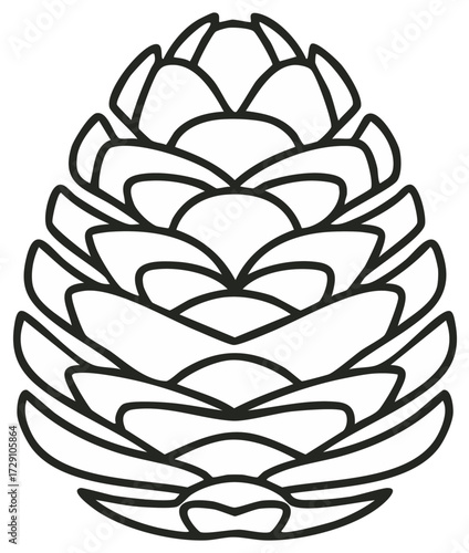 Simple pinecone line art illustration, minimalist forest nature symbol for autumn and winter