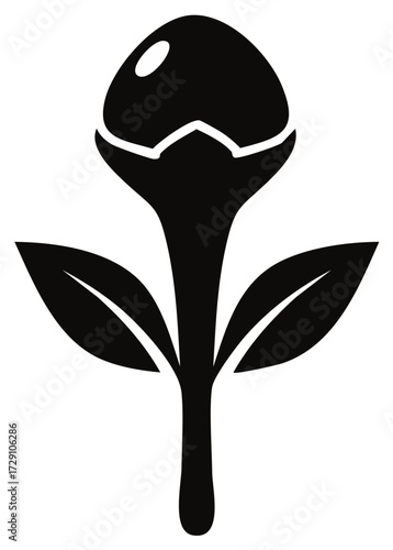 Black Silhouette of Clove Bud with Two Leaves Isolated on White Background