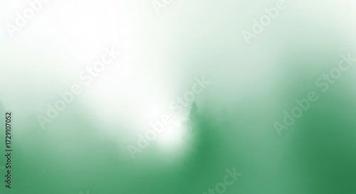 Fototapeta Naklejka Na Ścianę i Meble -  Misty forest silhouette with diffused light and soft focus background