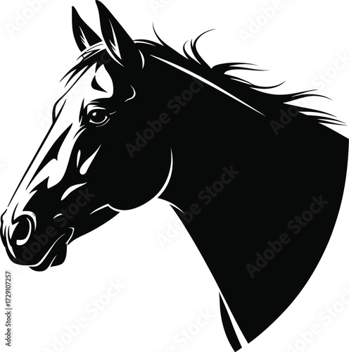 Black horse head profile equine animal
