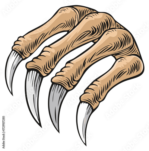 Vicious Dragon or Monster Talon with Sharp Claws Graphic Illustration