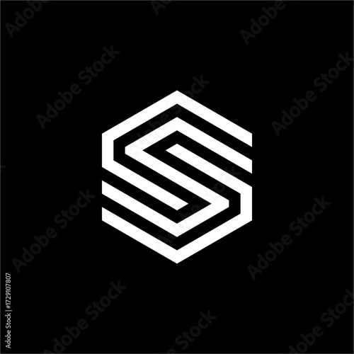 A versatile and powerful Letter SS Hexagon Logo that works well for a high-end brand. It's an excellent fit for luxury automotive, premium electronics, or elite private clubs.