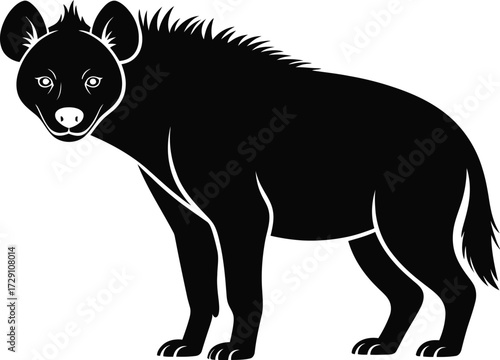 Black hyena standing profile animal wildlife