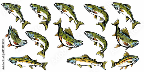 Collection of hand drawn trout fish illustrations in various dynamic poses on white background